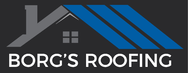 Borg's Roofing